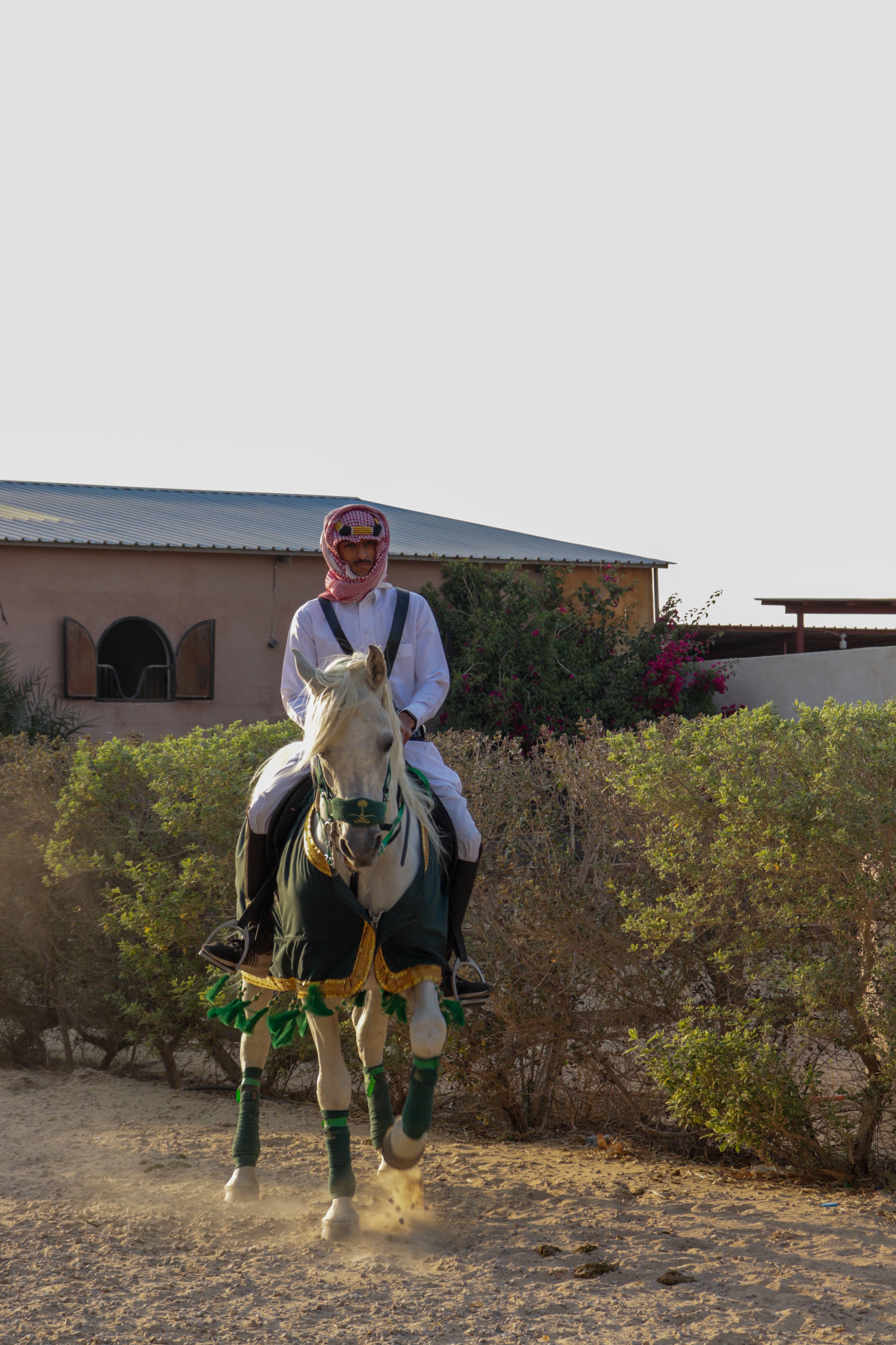 أجمل صورة للعام