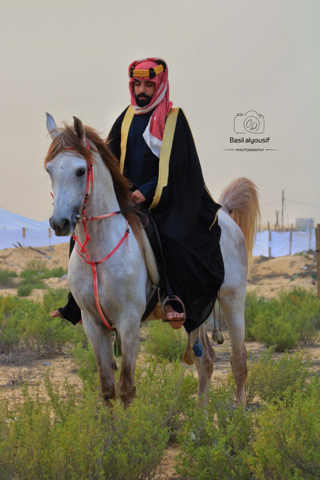 ورشة تكنيكات بالتعاون مع مربط اوصاف للخيل العربية لتصوير ثيم اليوم السعودي بتاريخ 16 فبراير 2024