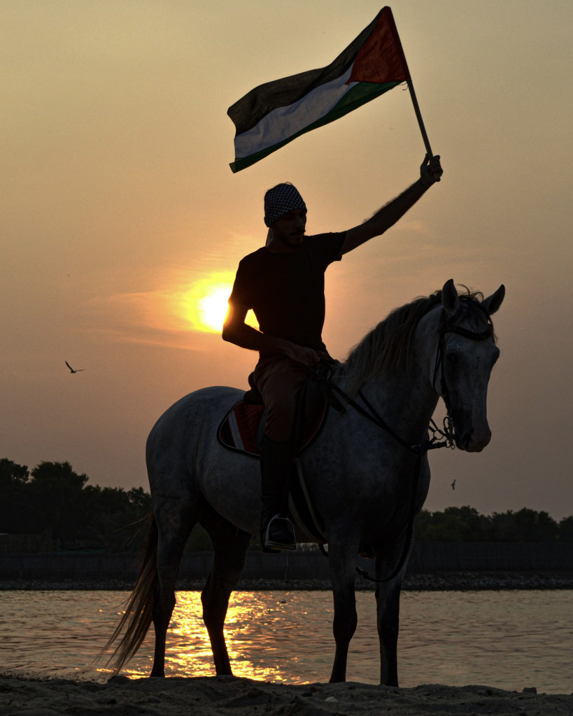 اليوم العالمي للتصوير