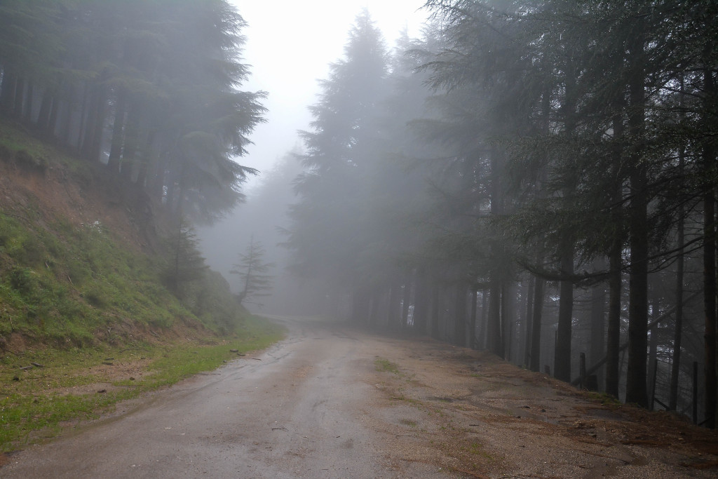 ابداع سنة 2025