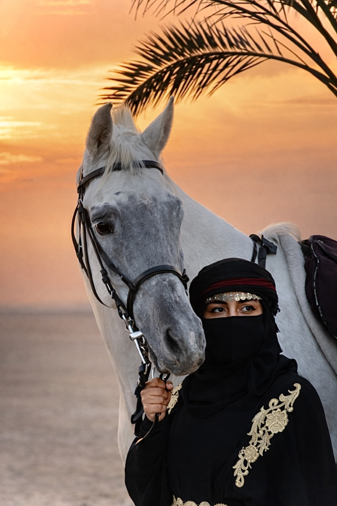 ورشة تصوير الخيل