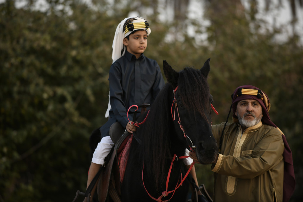 ورشة تصوير الخيل