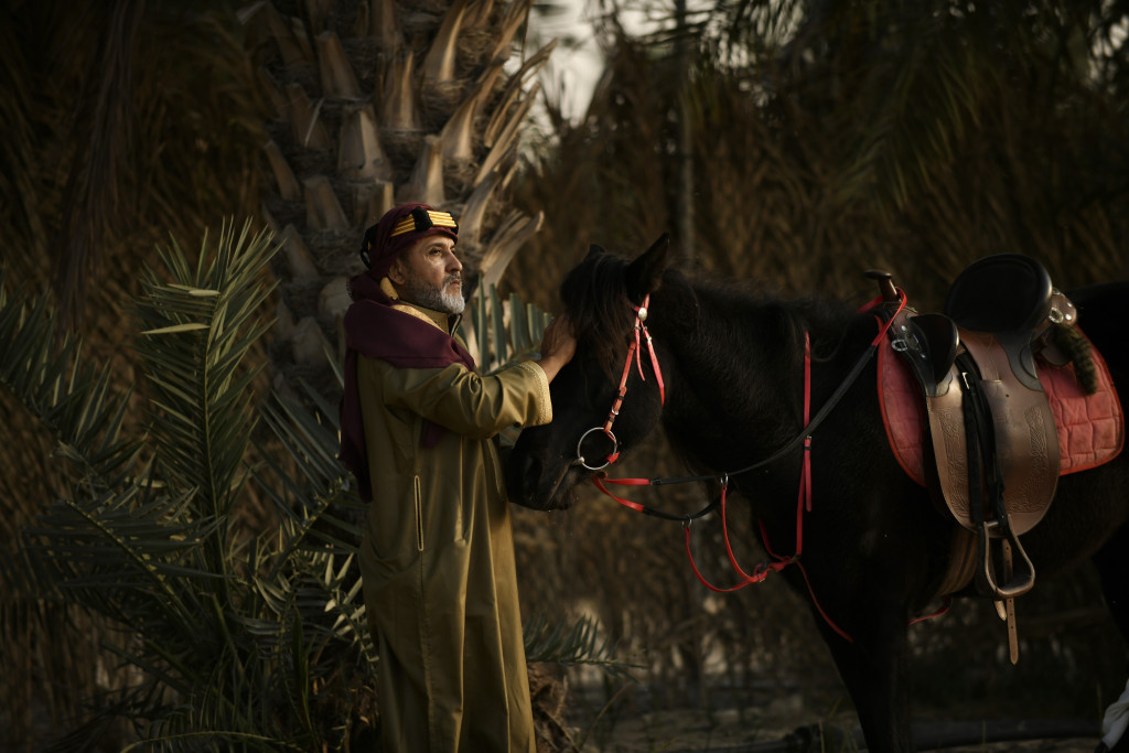 ورشة تصوير الخيل