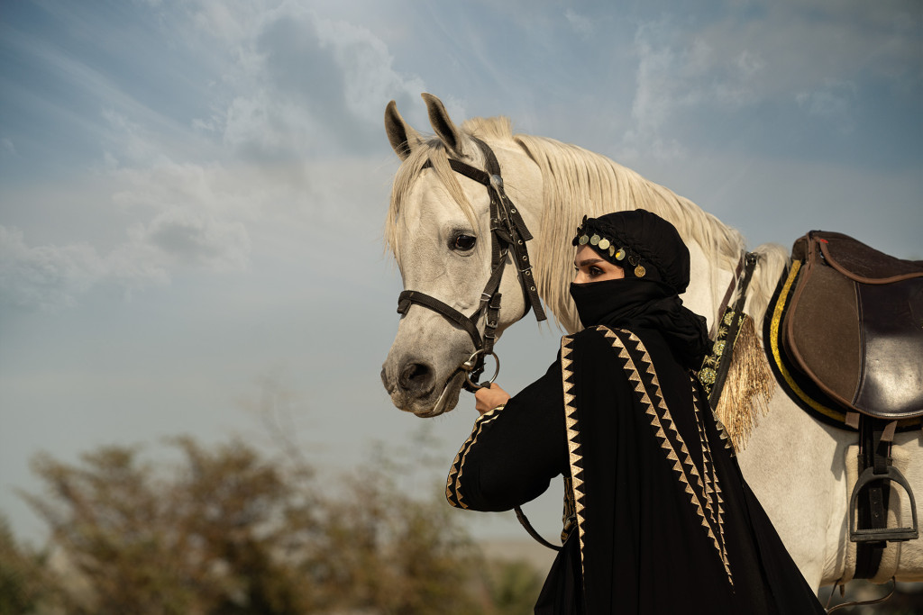 ورشة تصوير الخيل