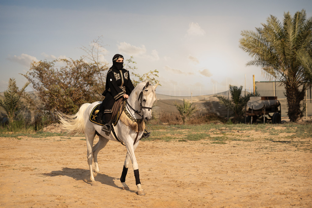 ورشة تصوير الخيل