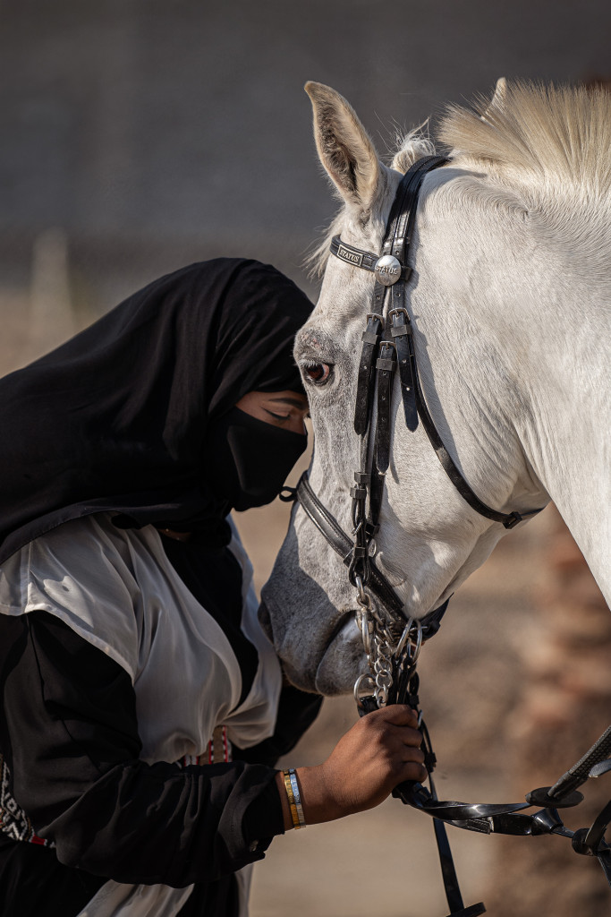 ورشة تصوير الخيل