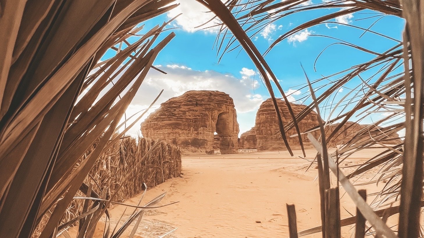 اليوم العالمي للتصوير