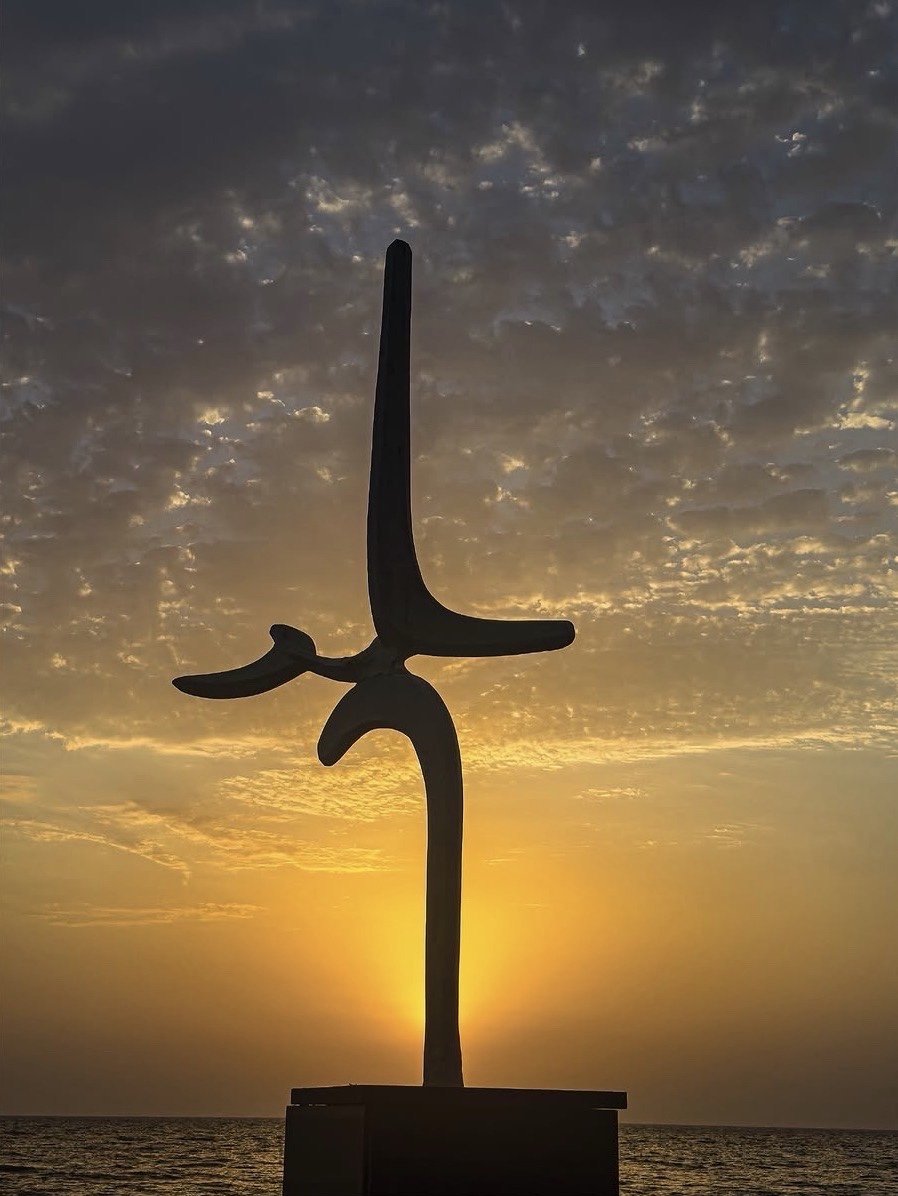 اليوم العالمي للتصوير