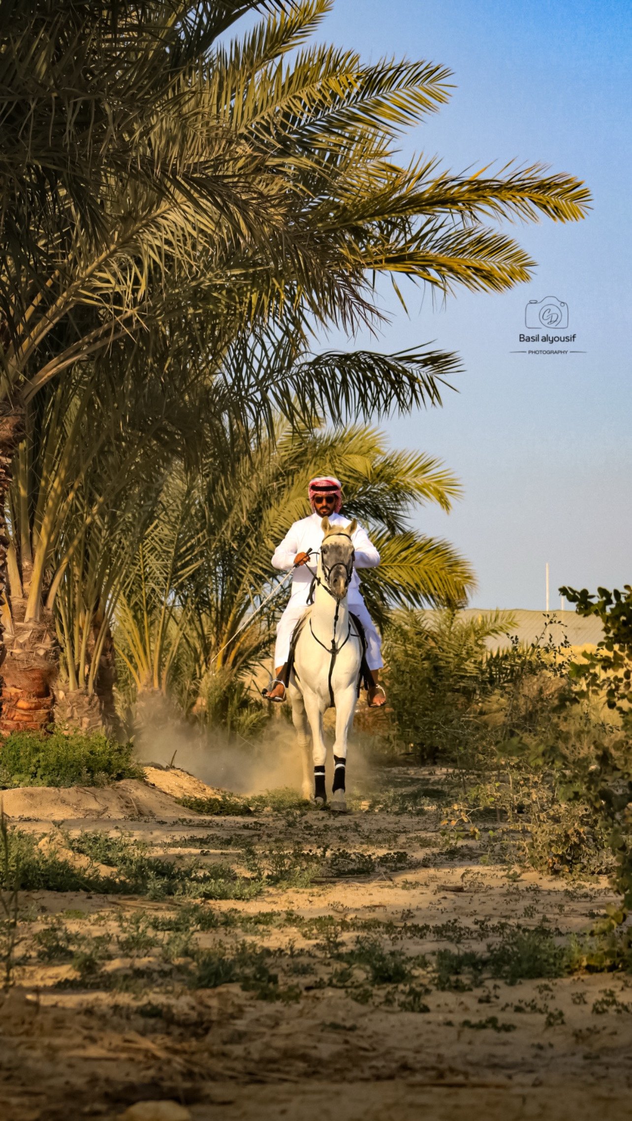 اليوم العالمي للتصوير