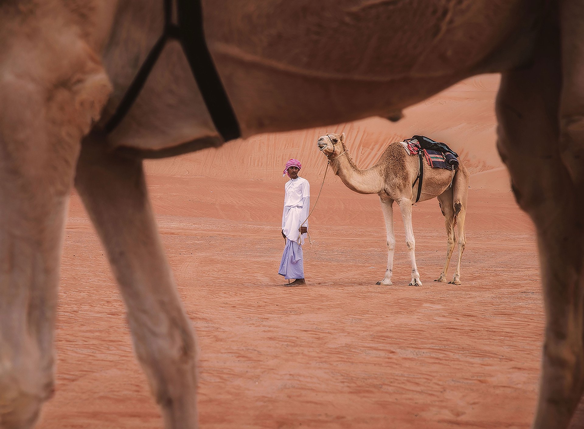 اليوم العالمي للتصوير