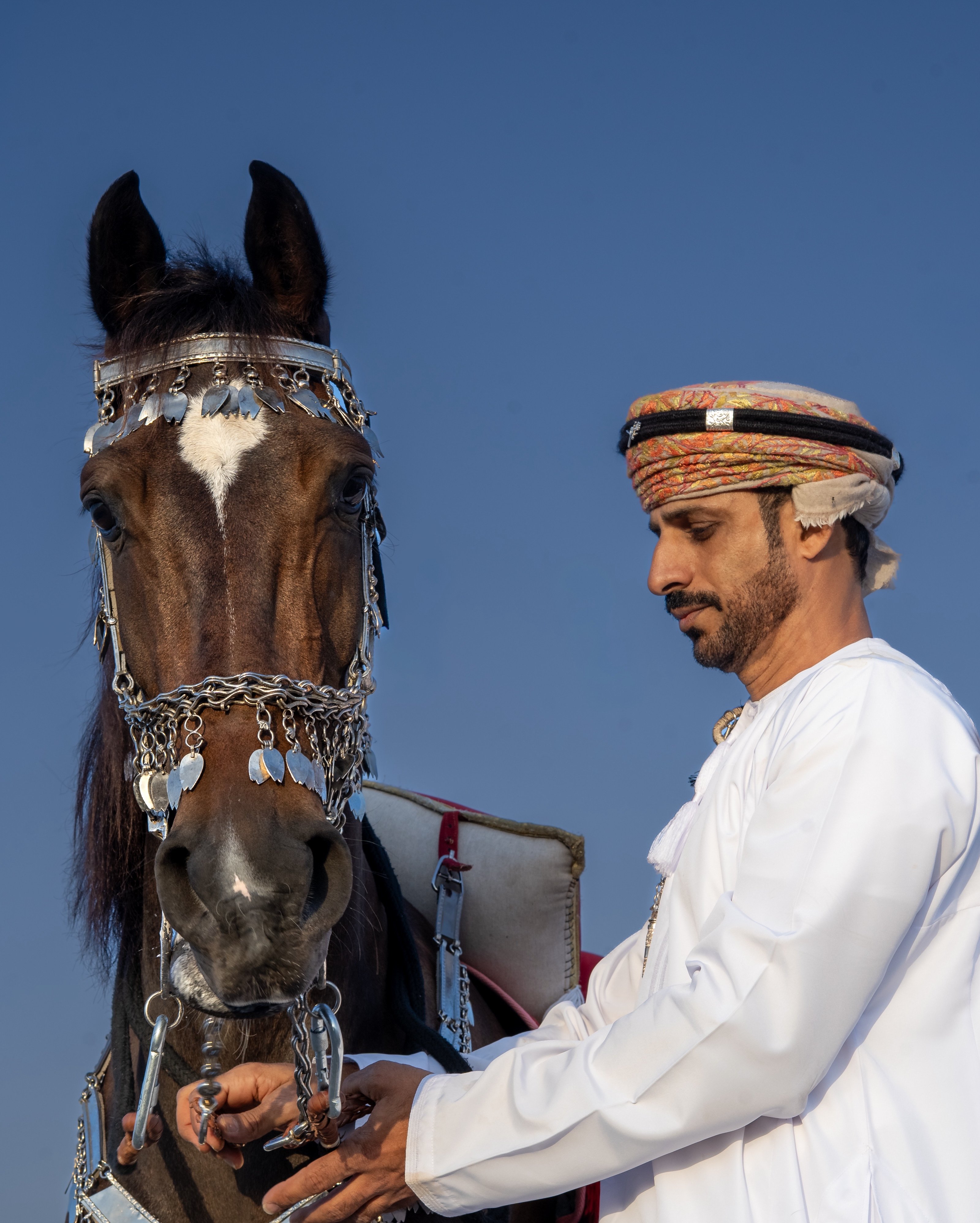 اليوم العالمي للتصوير