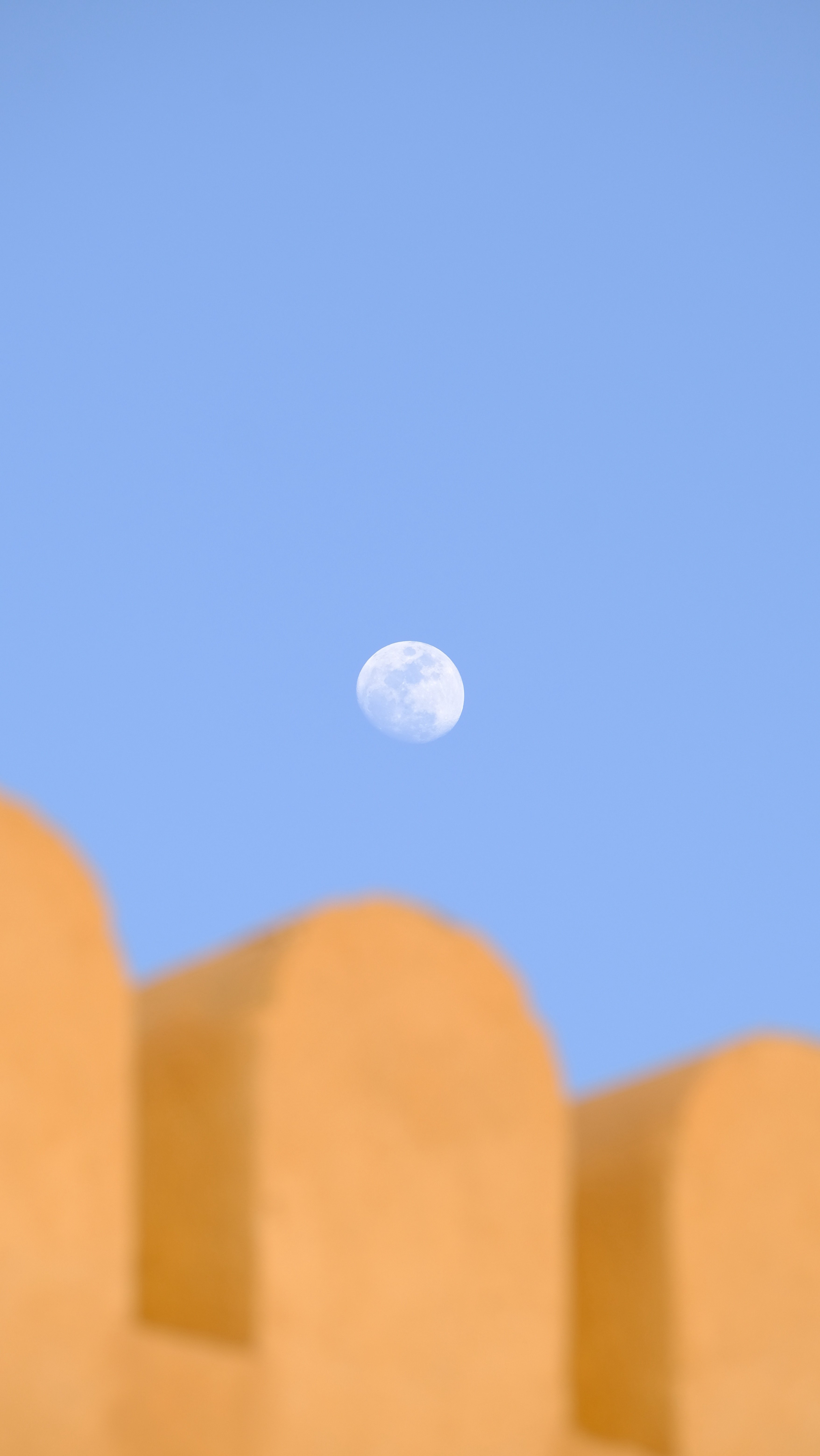 اليوم العالمي للتصوير