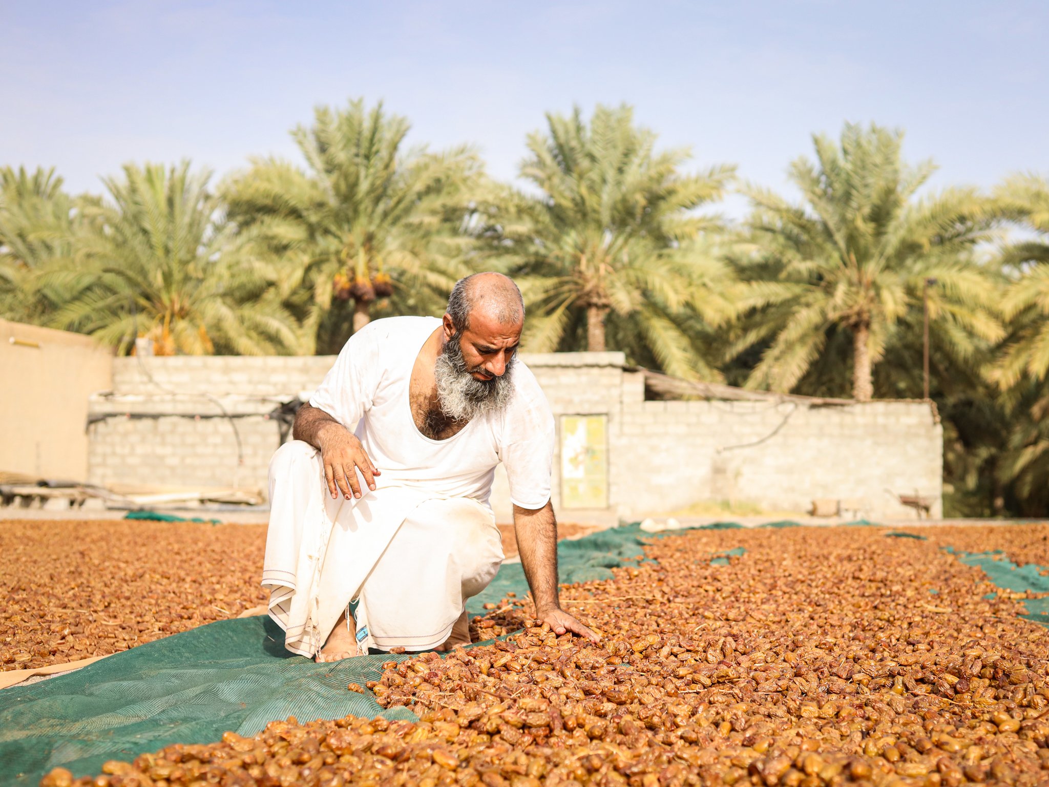 يد يحبها الله