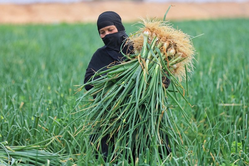 يد يحبها الله